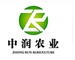縫工匠美縫劑廠家